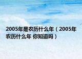 2005年是农历什么年（2005年农历什么年 你知道吗）