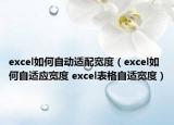 excel如何自动适配宽度（excel如何自适应宽度 excel表格自适宽度）