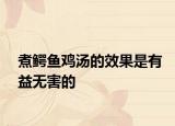 煮鳄鱼鸡汤的效果是有益无害的