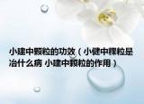 小建中颗粒的功效（小健中粿粒是冶什么病 小建中颗粒的作用）