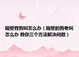 隔壁有狗叫怎么办（隔壁的狗老叫怎么办 教你三个方法解决问题）