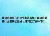 属猪的男孩几时出生的怎么样（属猪的男孩什么时辰出生好 大家可以了解一下）