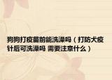 狗狗打疫苗前能洗澡吗（打防犬疫针后可洗澡吗 需要注意什么）