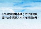 2020年属猴的命运（2020年属猴是什么命 属猴人2020年财运如何）