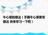 牛心菜的做法（手撕牛心菜家常做法 快来学习一下吧）