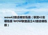 wow42级去哪里练级（联盟42去哪练级 WOW联盟战士42级去哪练级）