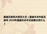 属猪买房风水禁忌大全（属猪本命年能买房吗 2019年属猪本命年买房要注意什么）