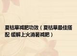 夏枯草减肥功效（夏枯草最佳搭配 缓解上火消暑减肥）