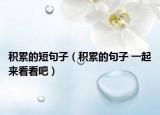 积累的短句子（积累的句子 一起来看看吧）
