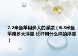 7.2米鱼竿用多大的浮漂（6.3米鱼竿用多大浮漂 长杆用什么样的浮漂）