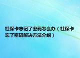 社保卡忘记了密码怎么办（社保卡忘了密码解决方法介绍）