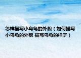 怎样描写小乌龟的外貌（如何描写小乌龟的外貌 描写乌龟的样子）