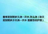 春季发财树多久浇一次水,怎么浇（秋天发财树多少天浇一次水 需要怎样护理）