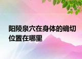 阳陵泉穴在身体的确切位置在哪里