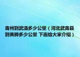 青州到武清多少公里（河北武青县到黄骅多少公里 下面给大家介绍）