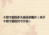 十四寸蛋糕多大直径求图片（关于十四寸蛋糕尺寸介绍）