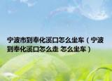 宁波市到奉化溪口怎么坐车（宁波到奉化溪口怎么走 怎么坐车）
