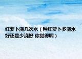 红萝卜浇几次水（种红萝卜多浇水好还是少浇好 你觉得呢）