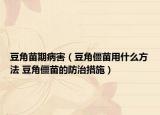 豆角苗期病害（豆角僵苗用什么方法 豆角僵苗的防治措施）