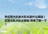 市交警大队的大队长是什么级别（交警大队大队长级别 快来了解一下）