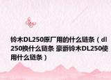 铃木DL250原厂用的什么链条（dl250换什么链条 豪爵铃木DL250使用什么链条）
