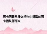 可卡因是从什么植物中提取的可卡因从何而来
