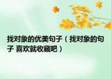 找对象的优美句子（找对象的句子 喜欢就收藏吧）