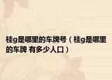 桂g是哪里的车牌号（桂g是哪里的车牌 有多少人口）