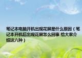 笔记本电脑开机出现花屏是什么原因（笔记本开机后出现花屏怎么回事 给大家介绍这六种）