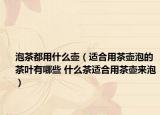 泡茶都用什么壶（适合用茶壶泡的茶叶有哪些 什么茶适合用茶壶来泡）