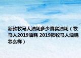 新款牧马人油耗多少真实油耗（牧马人2019油耗 2019款牧马人油耗怎么样）