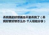 养狗真的好烦再也不要养狗了（养狗好累好烦怎么办 个人经验分享）