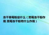 冻干草莓粉是什么（黑莓冻干粉作用 黑莓冻干粉有什么作用）