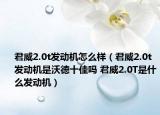 君威2.0t发动机怎么样（君威2.0t发动机是沃德十佳吗 君威2.0T是什么发动机）