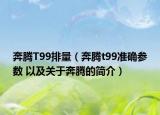 奔腾T99排量（奔腾t99准确参数 以及关于奔腾的简介）