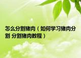 怎么分割猪肉（如何学习猪肉分割 分割猪肉教程）