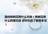 请问铁树花有什么功效（铁树花有什么药用功效 你对它的了解有多深）
