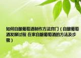 如何自酿葡萄酒制作方法窍门（自酿葡萄酒发酵过程 在家自酿葡萄酒的方法及步骤）