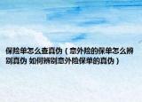 保险单怎么查真伪（意外险的保单怎么辨别真伪 如何辨别意外险保单的真伪）