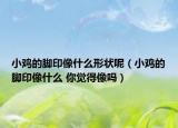 小鸡的脚印像什么形状呢（小鸡的脚印像什么 你觉得像吗）