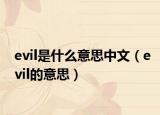 evil是什么意思中文（evil的意思）