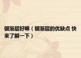银渐层好嘛（银渐层的优缺点 快来了解一下）