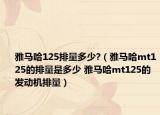 雅马哈125排量多少?（雅马哈mt125的排量是多少 雅马哈mt125的发动机排量）