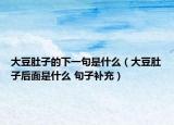 大豆肚子的下一句是什么（大豆肚子后面是什么 句子补充）