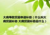 大病导致贫困申请补助（什么叫大病贫困补助 大病贫困补助是什么）