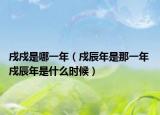 戌戍是哪一年（戍辰年是那一年 戍辰年是什么时候）