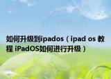 如何升级到ipados（ipad os 教程 iPadOS如何进行升级）