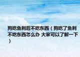 狗吃鱼刺后不吃东西（狗吃了鱼刺不吃东西怎么办 大家可以了解一下）