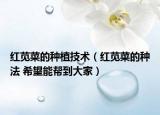 红苋菜的种植技术（红苋菜的种法 希望能帮到大家）