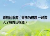 青族的来源（青氏的根源 一起深入了解青氏根源）